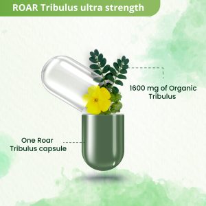 Health Benefits of Extra Strength Tribulus Terristris