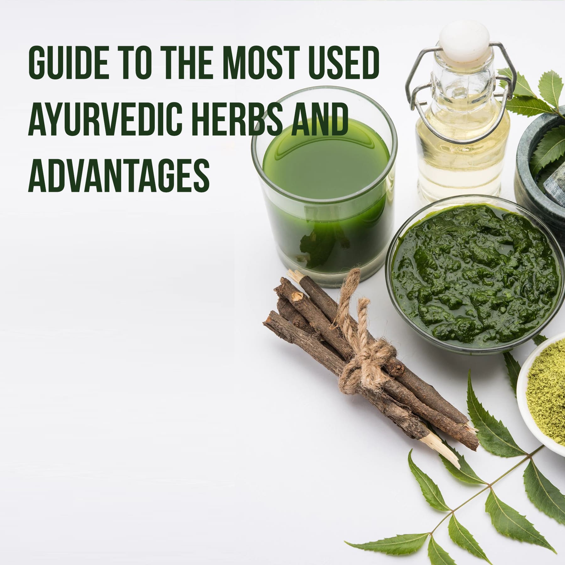 Most Used Ayurvedic Herbs