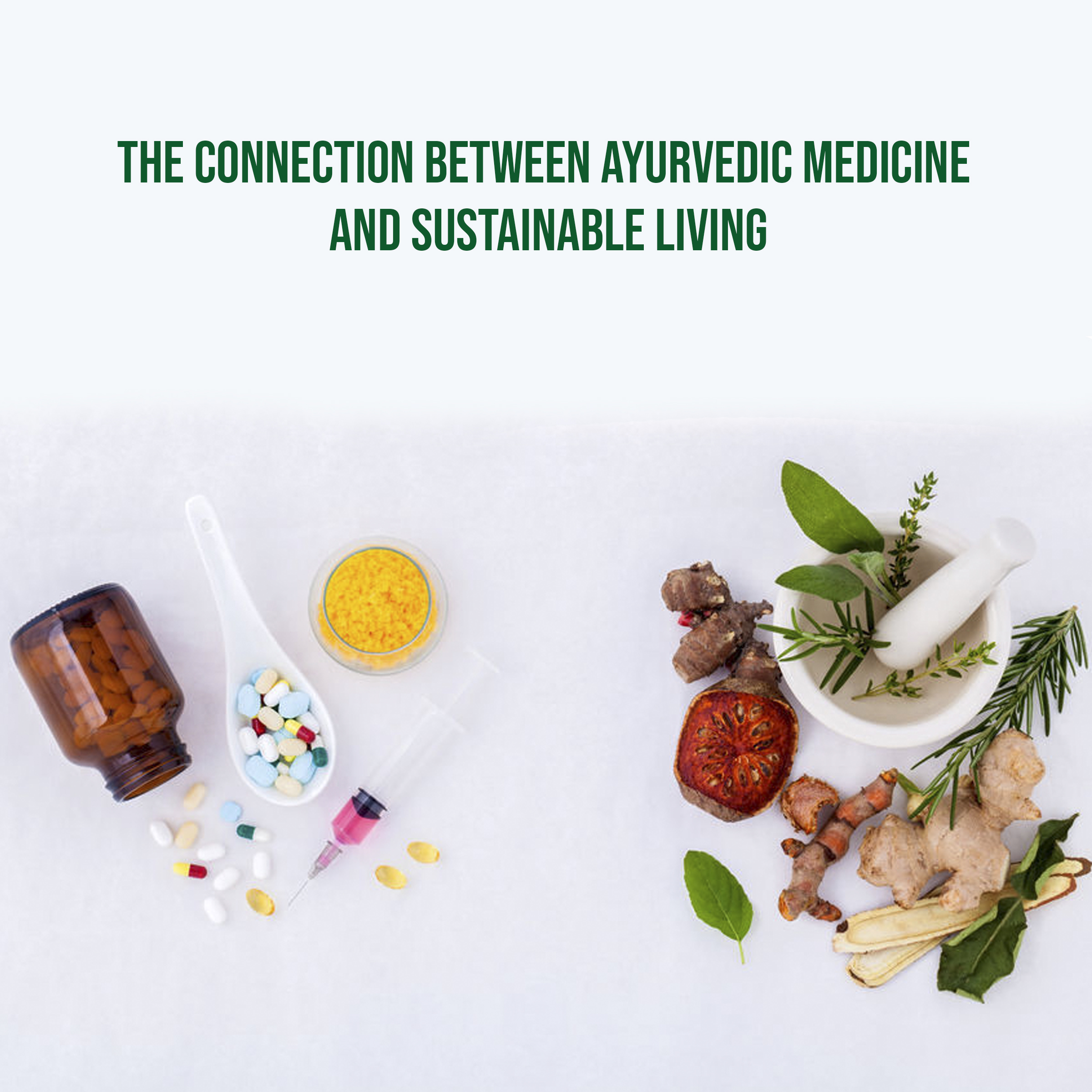Ayurvedic Medicine and Sustainable Living