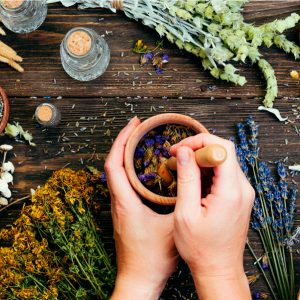 CONNECTION BETWEEN AYURVEDIC MEDICINE AND SUSTAINABLE LIVING