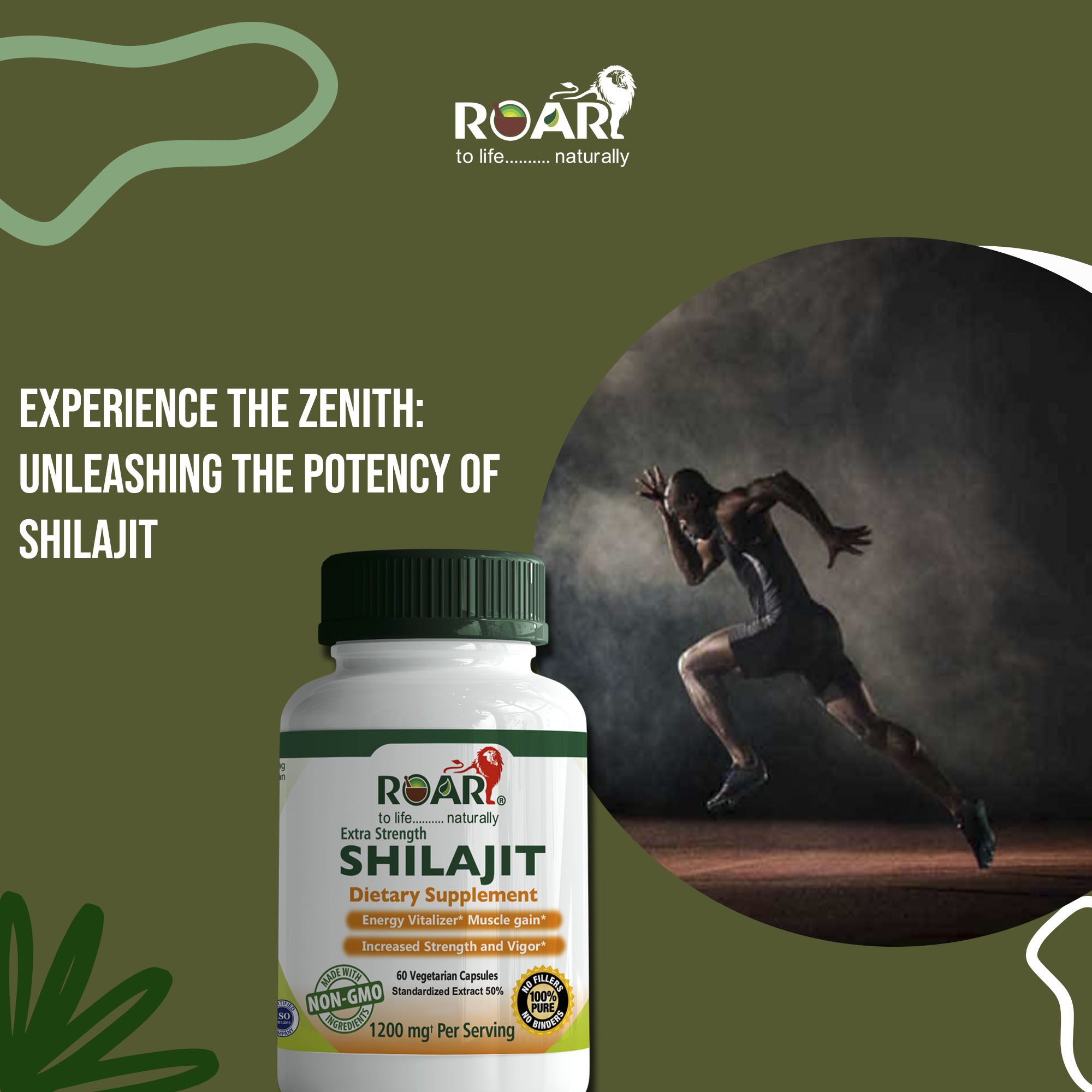 Potency of Shilajit